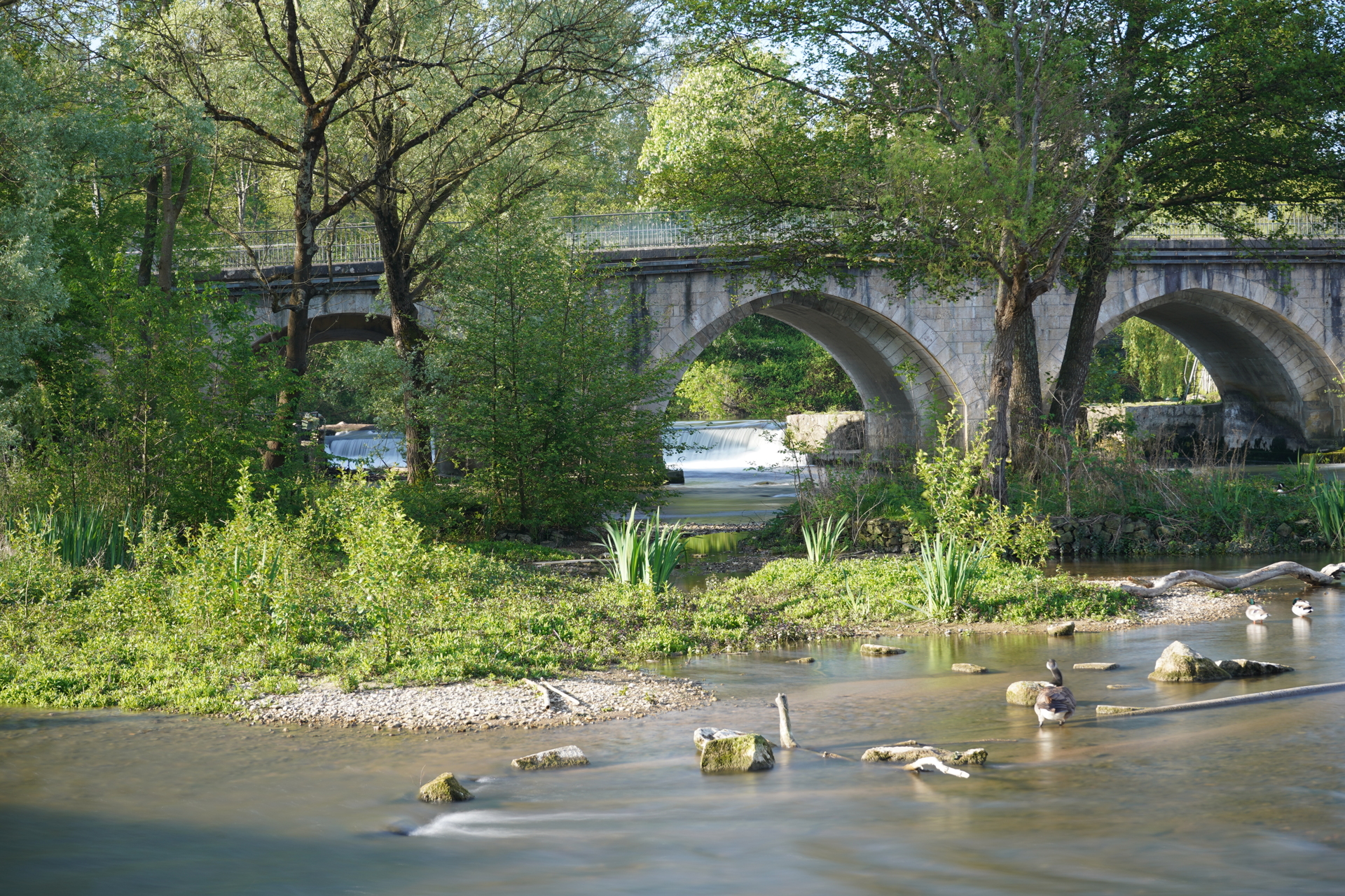 Exposition photos à VSJ, en 2025<br />
Photo de Florence